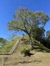 Mayan Constructed Hill at Altun Ha Archaeological Site in Belize
