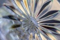 Macro art background of lead crystal glass textures Royalty Free Stock Photo