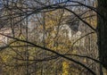 Park, Oslo, sunny day and a mishmash of branches.