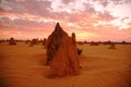 Image shows Pinnacles at sunset in Western Australia