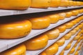 Racks of maturing Edam cheese