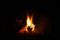 Pine cone burning in fireplace Royalty Free Stock Photo