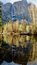 Yosemite Mountain and Trees Mirrored in a River