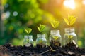 This image shows a row of glass jars filled with various plants sprouting and growing, An interpretation of growth in mutual fund Royalty Free Stock Photo