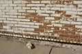 Grungy old exterior clay brick wall texture background with worn white paint Royalty Free Stock Photo