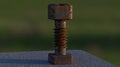 Rusty Metal Screw Royalty Free Stock Photo