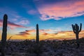 Sunset and Saguaros in the Arizona desert Royalty Free Stock Photo