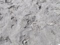This image shows a sand surface with footprints and shoe prints. Royalty Free Stock Photo
