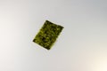crispy nori sheet on a white background Royalty Free Stock Photo