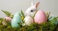 A cute white bunny surrounded by colorful easter eggs in a fern arrangement Royalty Free Stock Photo