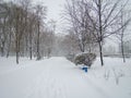 Image shows a snowy park scene with a footpath and overcast sky, suggesting recent snowfall Muted color palette
