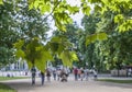 The Hyde Park, London - the bright green leaves.