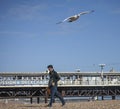 People in Brighton and the seagulls .