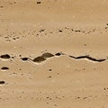 The image shows a surface of travertine, a sedimentary rock commonly used in Royalty Free Stock Photo
