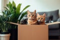 The image shows two cats sitting inside of a cardboard box, Ai Generated