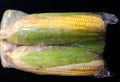 The image shows two ears of corn, partially husked and wrapped in clear plastic. Royalty Free Stock Photo
