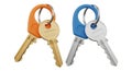 Two sets of keys with distinct colors and keyring designs displayed side by side Royalty Free Stock Photo