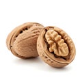 A close-up view of two whole walnuts with their shells intact on a white background Royalty Free Stock Photo