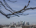 The Greenwich park, Canary Wharf and a branch.