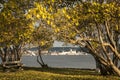 Oslo - the fjord and its dark waters, sunny trees. Royalty Free Stock Photo