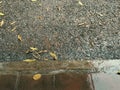 The image shows a wet road with leaves on the side. The ground is covered with water, indicating recent rainfall. Royalty Free Stock Photo