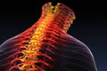 This image shows an x-ray view of the back of a persons neck, Human spine visualising pain with red and orange colours, AI Royalty Free Stock Photo