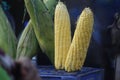 Indian Corns in the box Royalty Free Stock Photo