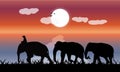 Image silhouette twilight Black elephant with Elephant mahout walking at the beach with sea and moon background Evening light