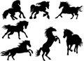 Silhouettes in different horse poses. Vector image. EPS10