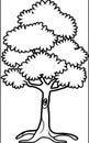 Outlined Tree Illustration (Coloring Page) Royalty Free Stock Photo