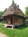 Image of simple cottage with straw roof