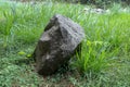 Image of a single large rock boulder, grey and black in color. Wet big stone on the lush green. Boulder is sitting close to river. Royalty Free Stock Photo