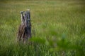 Old Weathered Fence Post and Rusted Barbed Wire Royalty Free Stock Photo