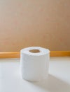 image of single rolls of toilet paper