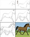 This image is a six-panel comic strip illustrating the step-by-step drawing of a horse. The first panel shows a s Royalty Free Stock Photo
