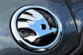 An image of a skoda logo - Bielefeld/Germany - 07/23/2017