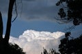 SKY AND CLOUD BETWEEN TREES