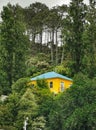 An image of a small wooden house in the green woods on the hill Royalty Free Stock Photo