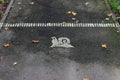 An image of a snail painted on the pavement. Autumn snapshot