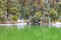 Snow Covered Colorful Trees with Reflection in Clean Water of Deoria or Deoriya Tal Lake - Winter in Himalaya, Uttarakhand, India