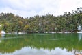 Himalayan Forest with Reflection in Clean Water of Deoria or Deoriya Tal Lake - Winter Landscape, Uttarakhand, India Royalty Free Stock Photo