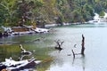 Clean Unpolluted Water of Deoria or Deoriya Tal Lake & Snow Covered Green Trees - Winter Landscape in Himalaya, Uttarakhand, India