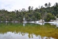 Deoria or Deoriya Tal Lake with Lush Green Trees and Snow - Winter Himalayan Landscape, Uttarakhand, India