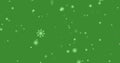 Image of snow falling over christmas trees on green background Royalty Free Stock Photo