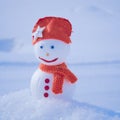 Image of a snowman. Handiwork
