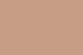 A SIMPLE SEASHELL COLORED COLOR PLATE