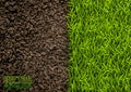 Image of soil and green grass texture. Natural texture. Overhead view. Vector illustration nature background.