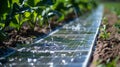 An image of a solarpowered irrigation system using smart scheduling technology to efficiently water crops while Royalty Free Stock Photo