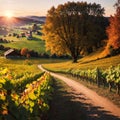 Splendid vineyards landscape in South Styria near Gamlitz. Autumn scene of grape hills in popular travell