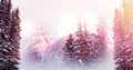 Image of spots of light over snow falling and winter landscape Royalty Free Stock Photo